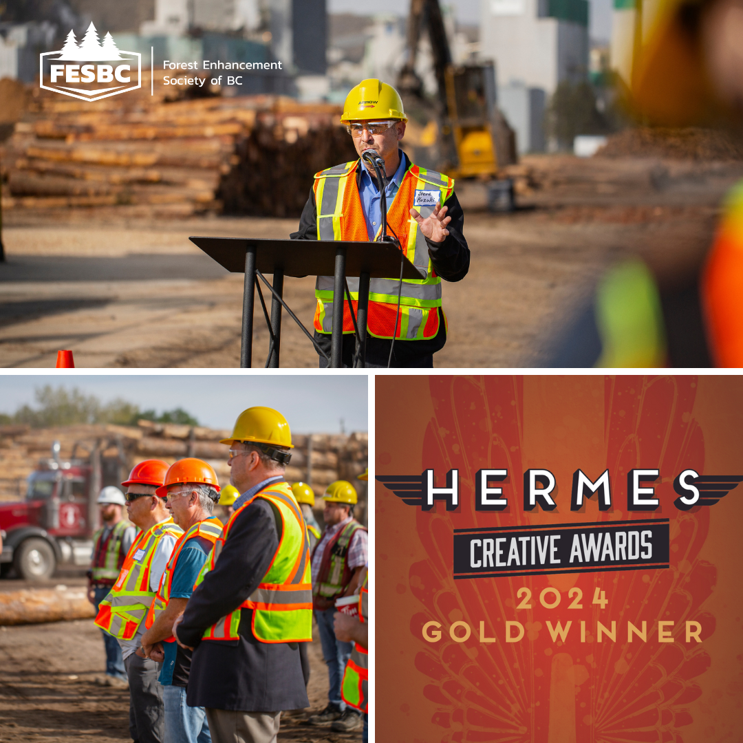 FESBC Wins Gold Hermes Award for Communications FESBC Forest